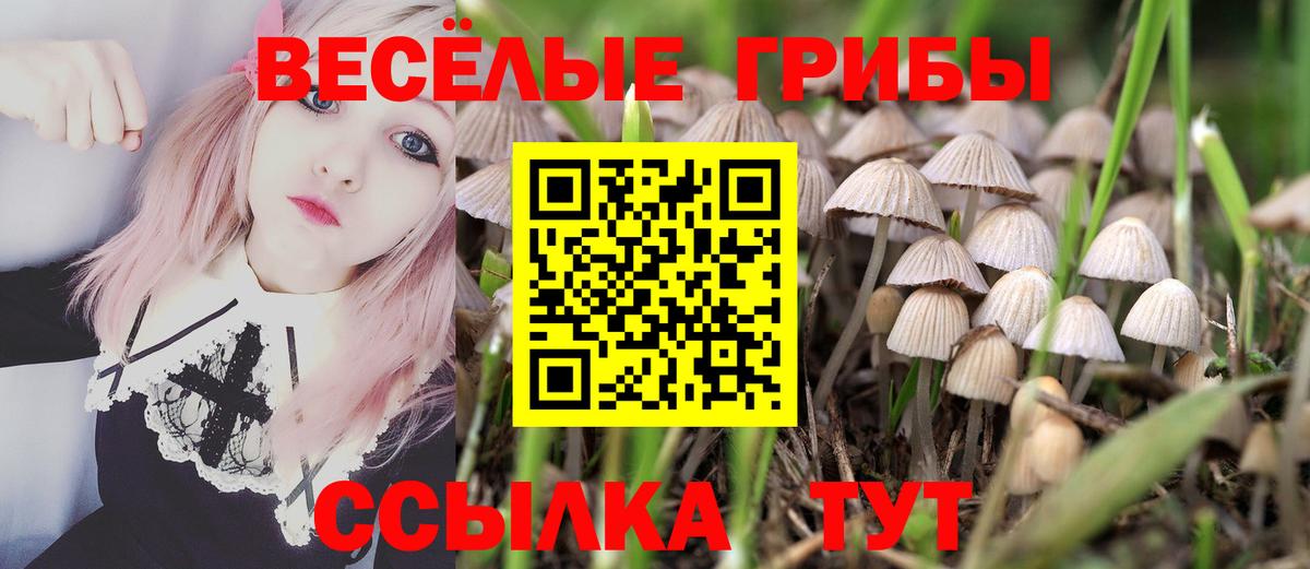 Псилоцибиновые грибы Cubensis Благодарный