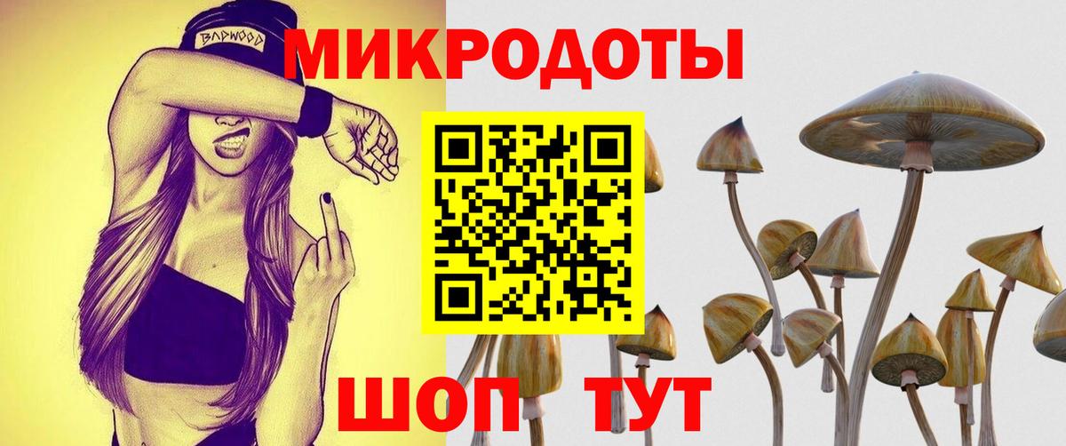 Благодарный  Галлюциногенные грибы MAGIC MUSHROOMS  Вход с VPN  Галлюциногенные грибы Cubensis 
